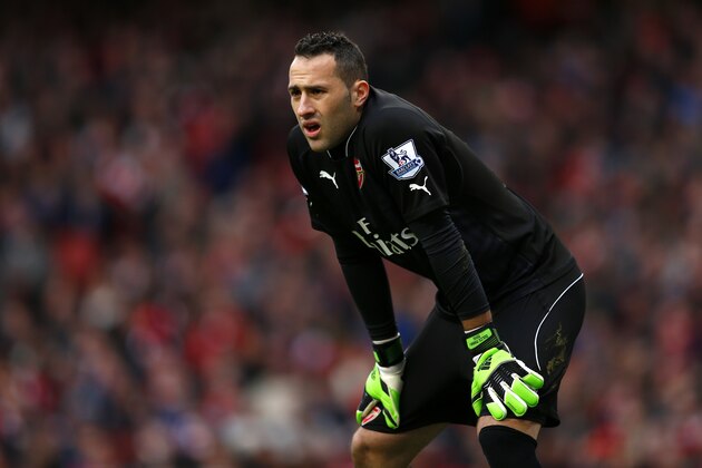 LONDON, ENGLAND - JANUARY 11:  David Ospina of Arsenal in action during the Barclays Premier League match between Arsenal and Stoke City at Emirates Stadium on January 11, 2015 in London, England.  (Photo by Julian Finney/Getty Images)