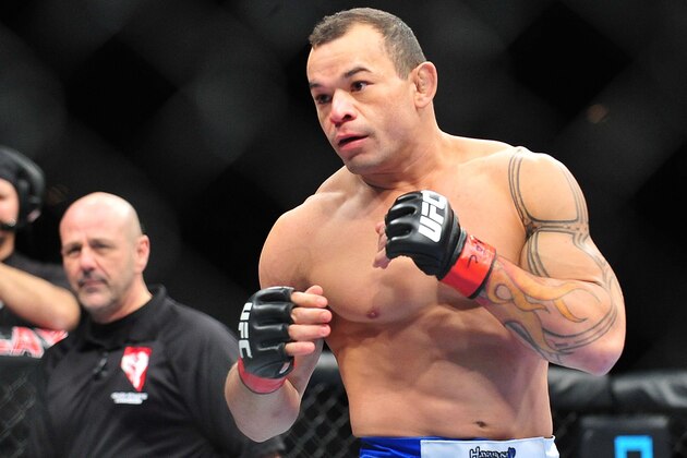 Feb 2, 2013; Las Vegas, NV, USA; Gleison Tibau during UFC 156 at the Mandalay Bay Events Center. Mandatory Credit: Gary A. Vasquez-USA TODAY Sports