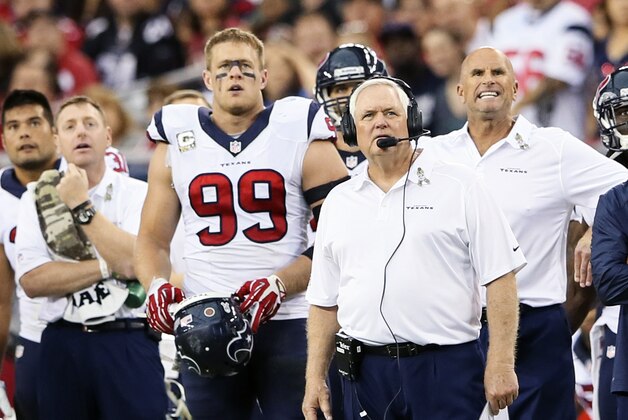 Nov 10, 2013; Phoenix, AZ, USA; Houston Texans interim head coach Wade Phillips reacts during the game against the Arizona Cardinals at University of Phoenix Stadium. Arizona won 27-24. Mandatory Credit: Kevin Jairaj-USA TODAY Sports