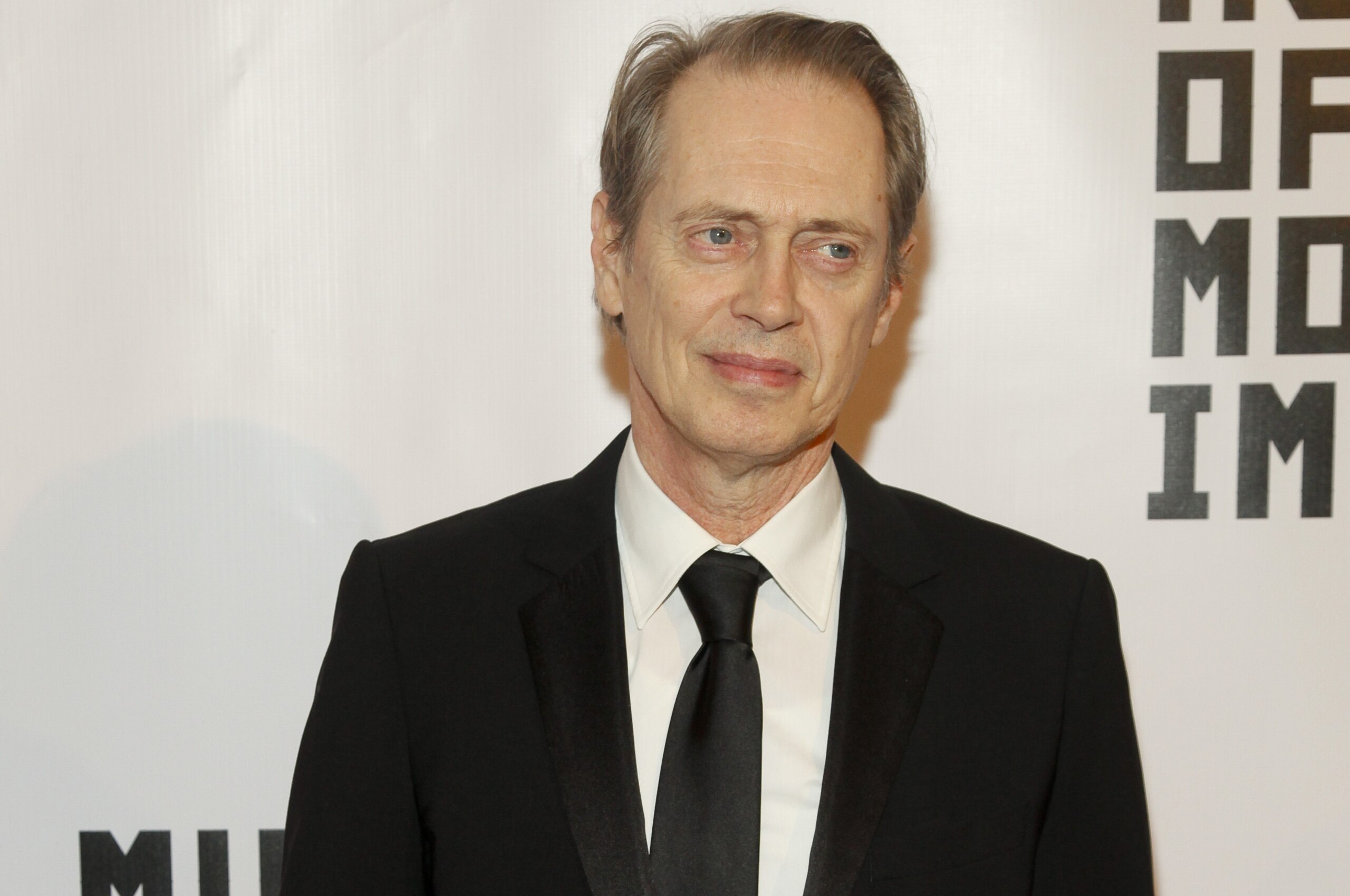 Steve Buscemi attends the Museum Of The Moving Image Salute to Julianne Moore at 583 Park on Tuesday, Jan. 20, 2015, in New York. (Photo by Andy Kropa/Invision/AP)