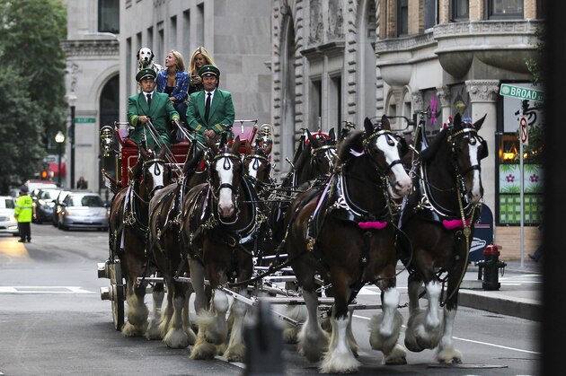 Sam Fitzgerald of Auburn, NH and Ashley Greeno of Manchester, NH enjoy a ride on the world-famous Budweiser Clydesdale hitch at Faneuil Hall in Boston, MA, Saturday, October 11, 2014.  Budweiser and Lyft filmed a new holiday-themed responsible drinking video over the weekend.  Fitzgerald and Greeno were surprised when they found that the Budweiser Clydesdale Hitch had taken place of their Lyft ride.  (Cheryl Senter/AP Images for Budweiser)