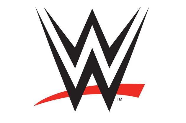 This graphic released by the WWE shows the logo for the new WWE network. The WWE Network launches Feb. 24, 2014 as a streaming service for $9.99 per month with a six-month commitment and will include all 12 pay-per-view events. (AP Photo/WWE)