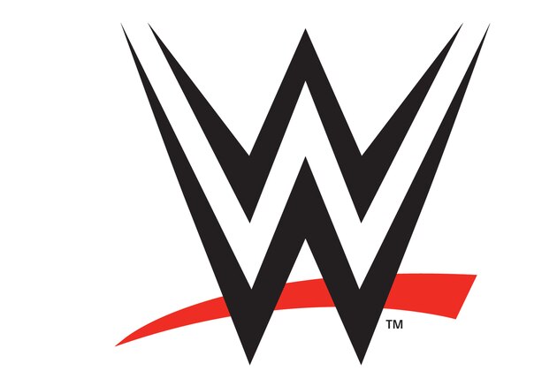This graphic released by the WWE shows the logo for the new WWE network. The WWE Network launches Feb. 24, 2014 as a streaming service for $9.99 per month with a six-month commitment and will include all 12 pay-per-view events. (AP Photo/WWE)