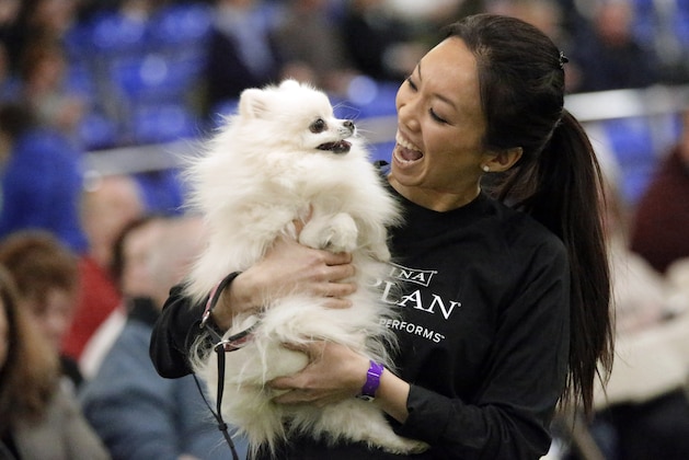 Wendy Lu, of San Jose, hugs her Pomeranian Daisy while competeing in the Westminster Kennel Club Masters Agility Championship, Saturday, Feb. 14, 2015, in New York. (AP Photo/Mary Altaffer)