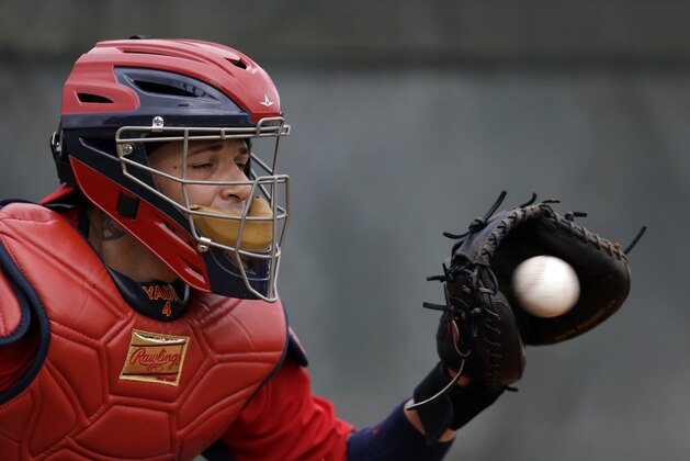 St. Louis Cardinals catcher Yadier Molina catches a ball from pitcher Carlos Martinez  during spring training baseball practice Wednesday, Feb. 18, 2015, in Jupiter, Fla. Cardinals pitchers and catchers have their first official workout scheduled for Friday. (AP Photo/Jeff Roberson)