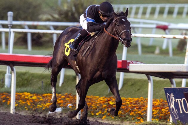 Shared Belief with jockey Corey Nakatani cross the finish line to win the CashCall Futurity horse race at Betfair Hollywood Park in Inglewood, Calif., on Saturday, Dec. 14, 2013. (AP Photo/Ringo H.W. Chiu)