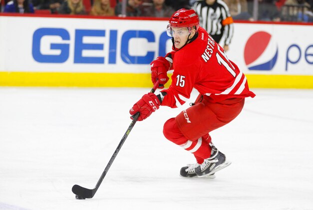 Feb 20, 2015; Raleigh, NC, USA; Carolina Hurricanes forward Andrej Nestrasil (15) skates with puck against the  Toronto Maple Leafs at PNC Arena. The Carolina Hurricanes defeated the Toronto Maple Leafs 2-1. Mandatory Credit: James Guillory-USA TODAY Sports