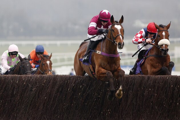 CHELTENHAM, ENGLAND - MARCH 11: Bryan Cooper riding Don Poli clear the last to win The RSA Steeple Chase at Cheltenham racecourse on March 11, 2015 in Cheltenham, England. (Photo by Alan Crowhurst/Getty Images)