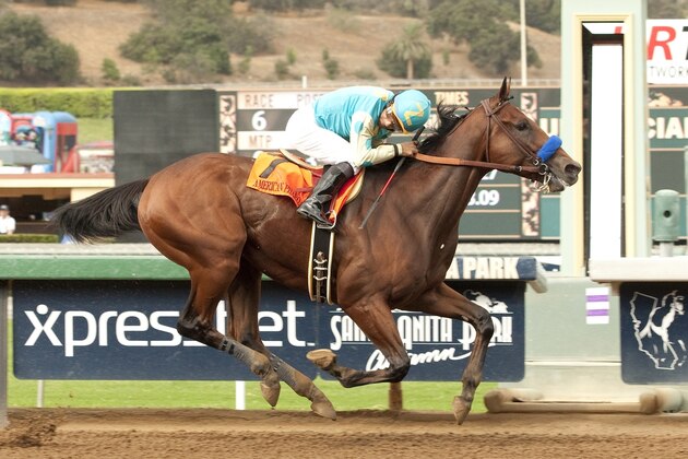 FILE - In this Sept. 27, 2014, file photo provided by Benoit Photo, American Pharoah, jockey Victor Espinoza up, winS the Grade I, $300,000 FrontRunner Stakes horse race at Santa Anita in Arcadia, Calif. A little more than 10 weeks before the first leg of the Triple Crown, the AP begins its Run to the Roses list of top 10 contenders. (AP Photo/Benoit Photo, File)