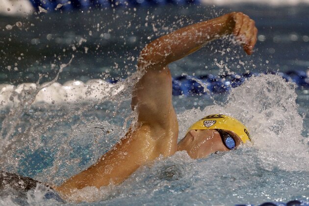 California's Seth Stubblefield swims the freestyle in the men's 400-yard medley relay during the NCAA college Division 1 swimming and diving championships on Thursday, March 27, 2014, in Austin, Texas. (AP Photo/Michael Thomas)