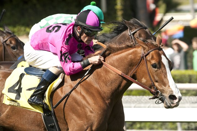 In a photo provided by Benoit Photo, Go West Marie, foreground, and jockey Gary Stevens win the $100,000 Irish O'Brien Stakes horse race, Saturday, March 14, 2015, at Santa Anita in Arcadia, Calif. (AP Photo/Benoit Photo)