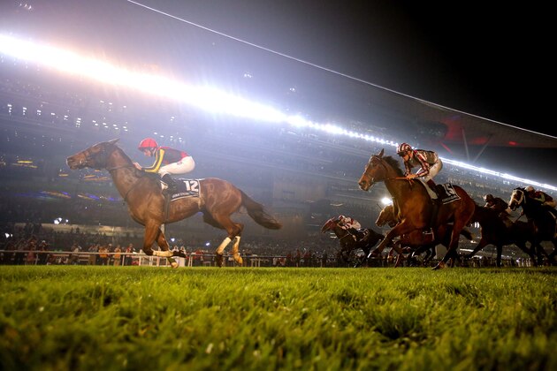 DUBAI, UNITED ARAB EMIRATES - MARCH 29:  Gentildonna rideen by Ryan Moore wins the Dubai Sheema Classic during the Dubai World Cup at the Meydan Racecourse on March 29, 2014 in Dubai, United Arab Emirates.  (Photo by Warren Little/Getty Images)