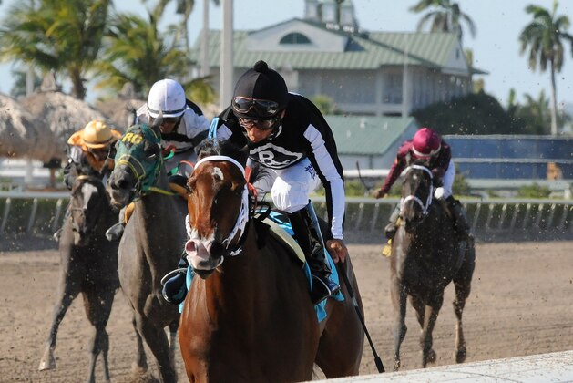 In a photo provided by Gulfstream Park, R Free Roll, with jockey Paco Lopez, captures the Hollywood Beach horse race at Gulfstream Park on Saturday, April 12, 2014, in Hallandale Beach, Fla. (AP Photo/Gulfstream Park/Coglianese Photos, Kenny Martin)