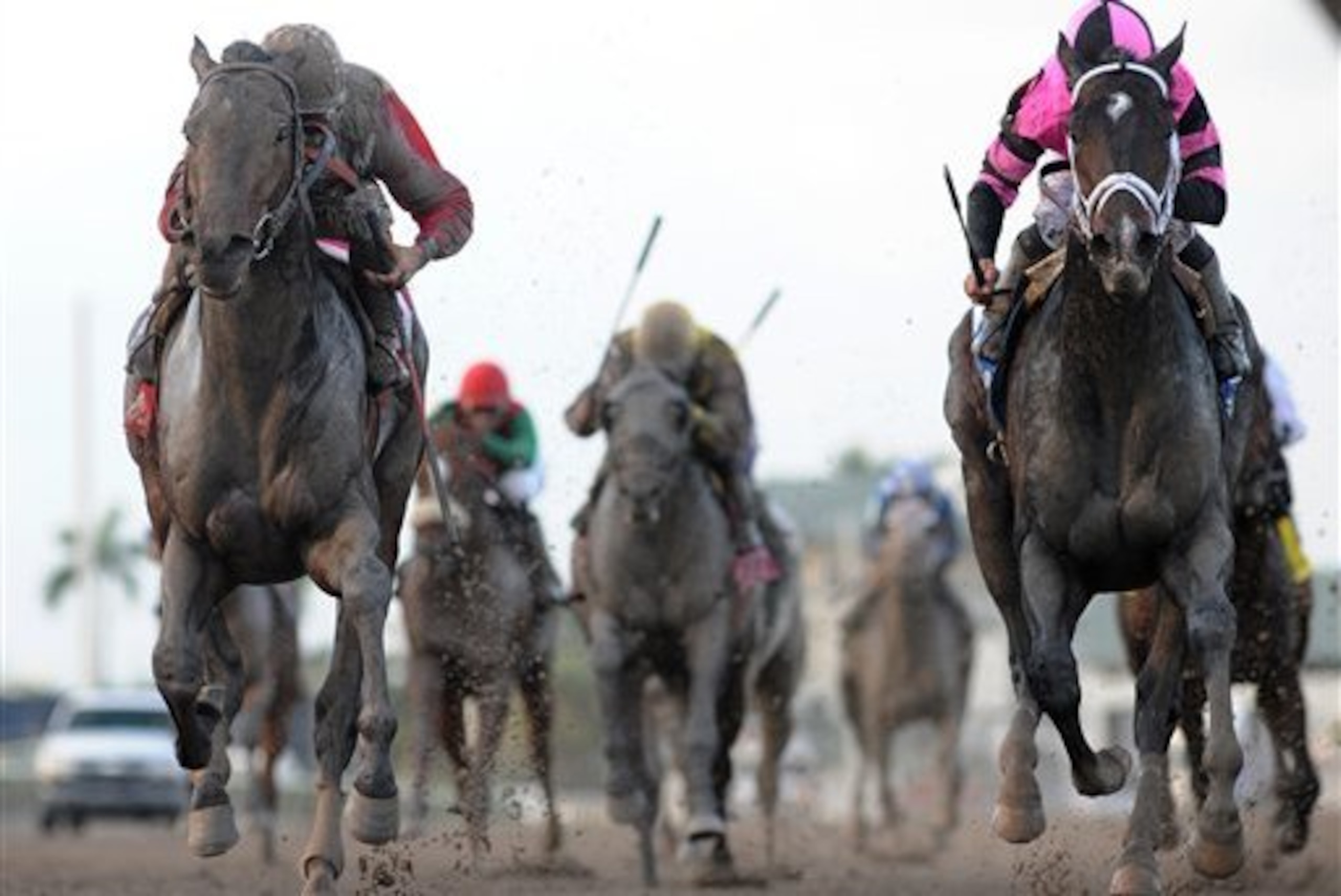 In this image provided by Gulfstream Park, Orb, left, ridden by John R. Velazquez, heads to the finish line to win the Fountain of Youth stakes horse race at Gulfstream Park Saturday, Feb. 23, 2013, in Hallandale Beach, Fla. (AP Photo/Gulfstream Park)