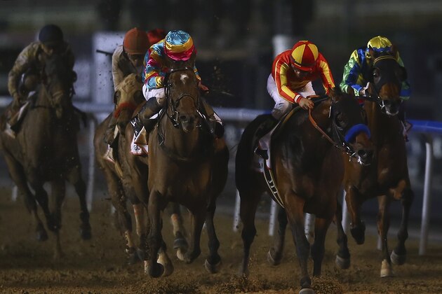 DUBAI, UNITED ARAB EMIRATES - MARCH 28:  Secret Circle ridden by Victor Espinosa wins the  during the Dubai World Cup at the Meydan Racecourse on March 28, 2015 in Dubai, United Arab Emirates.  (Photo by Francois Nel/Getty Images)