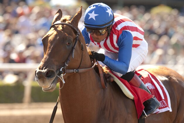 In this photo provided by Benoit Photo, Kaleem Shah's Dortmund and jockey Martin Garcia win the Grade I $1,000,000 Santa Anita Derby horse race, Saturday, April 4, 2015, at Santa Anita Park, in Arcadia, Calif. (AP Photo/Benoit Photo)