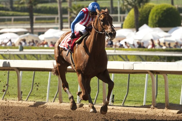 In this photo provided by Benoit Photo, Kaleem Shah's Dortmund and jockey Martin Garcia win the Grade I $1,000,000 Santa Anita Derby horse race, Saturday, April 4, 2015, at Santa Anita Park, in Arcadia, Calif. (AP Photo/Benoit Photo)