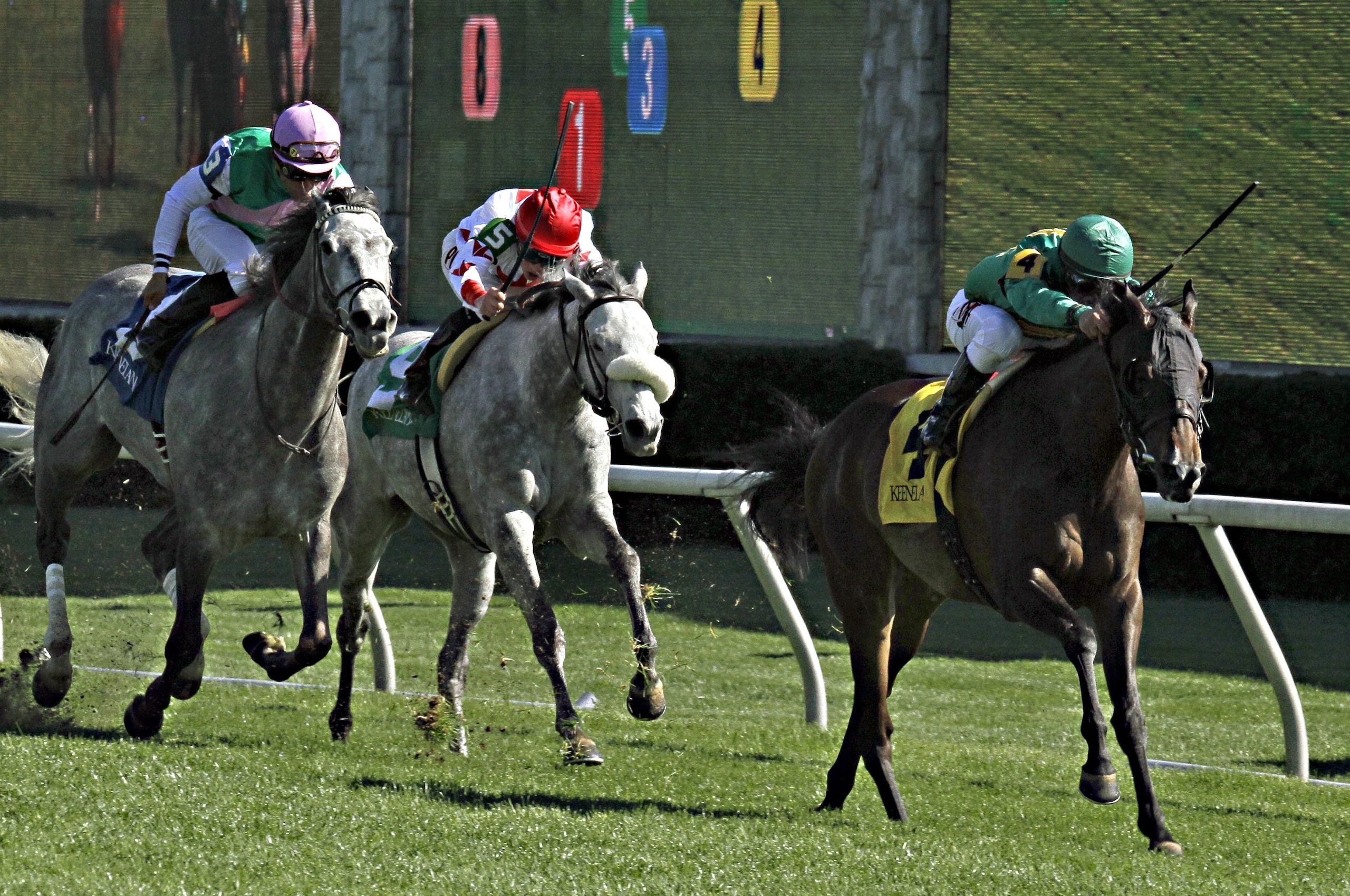 Javier Castellano, riding Ball Dancing, draws away from Hard Not to Like, center, ridden by jockey Irad Ortiz, Jr., and Filimbi, left, ridden by jockey Joel Rosario, to win the $300,000 Jenny Wiley Stakes horse race on the turf course at Keeneland Race Course in Lexington, Ky., Saturday, April 11, 2015. (AP Photo/Garry Jones) Javier Castellano, riding Ball Dancing, draws away from Hard Not to Like, center, ridden by jockey Irad Ortiz, Jr., and Filimbi, left, ridden by jockey Joel Rosario, to win the $300,000 Jenny Wiley Stakes horse race on the turf course at Keeneland Race Course in Lexington, Ky., Saturday, April 11, 2015. (AP Photo/Garry Jones)