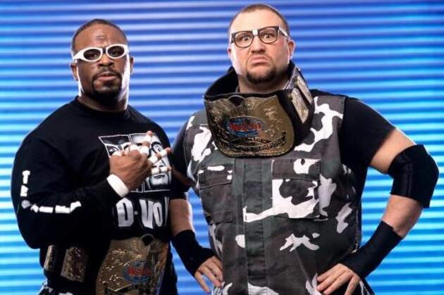 The Dudley Boyz have won gold in every organization they've competed for.