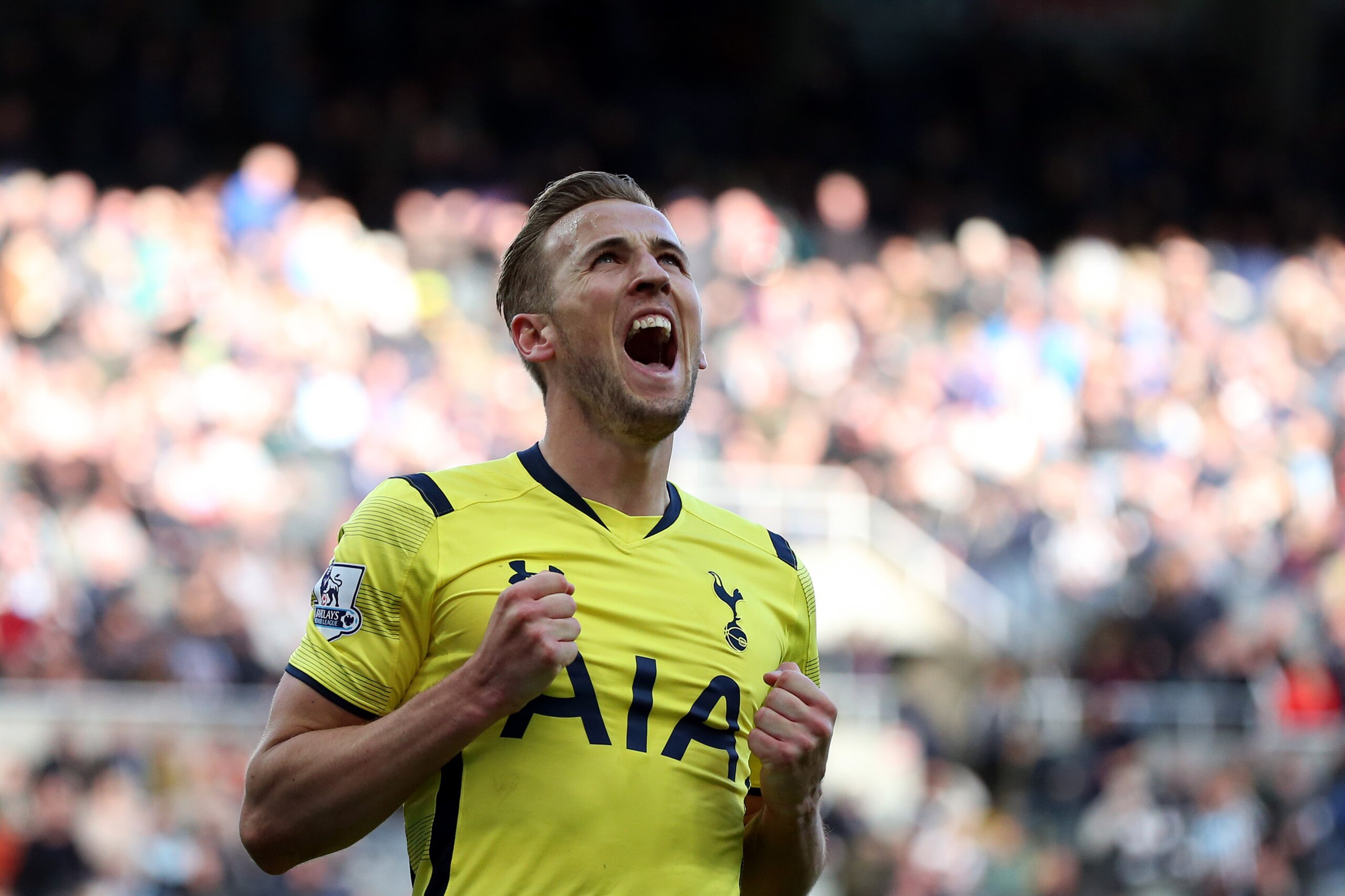 Tottenham Hotspur's Harry Kane celebrates his goal during their English Premier League soccer match between Newcastle United and Tottenham Hotspur at St James' Park, Newcastle, England, Sunday, April 19, 2015. (AP Photo/Scott Heppell)