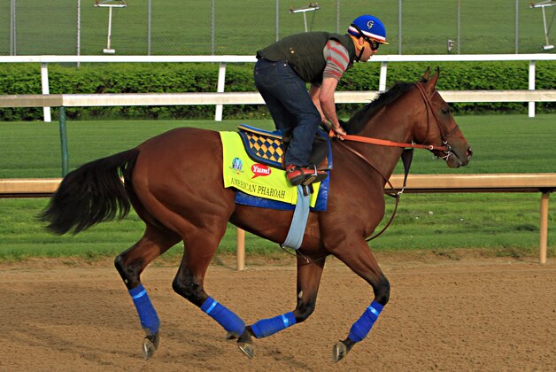 Exercise rider George Alverez gallops Kentucky Derby hopeful American Pharaoh over the track at Churchill Downs in Louisville, Ky., Saturday, April 18, 2015.  (AP Photo/Garry Jones)