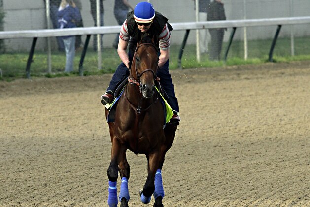 Exercise rider Jorge Alvarez gallops Kentucky Derby hopeful American Pharoah at Churchill Downs in Louisville, Ky., Saturday, April 18, 2015.  (AP Photo/Garry Jones)