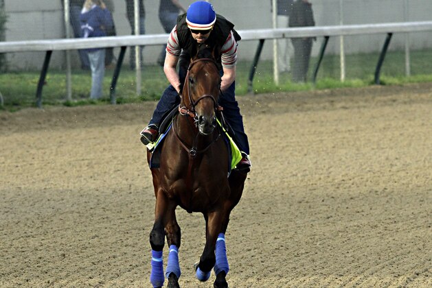 Exercise rider Jorge Alvarez gallops Kentucky Derby hopeful American Pharoah at Churchill Downs in Louisville, Ky., Saturday, April 18, 2015.  (AP Photo/Garry Jones)