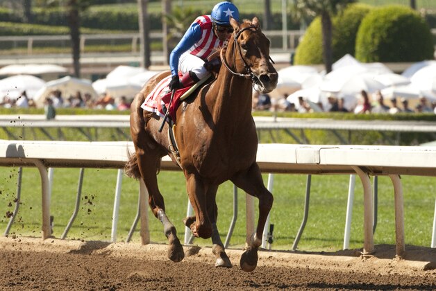 In this photo provided by Benoit Photo, Kaleem Shah's Dortmund and jockey Martin Garcia win the Grade I $1,000,000 Santa Anita Derby horse race, Saturday, April 4, 2015, at Santa Anita Park, in Arcadia, Calif. (AP Photo/Benoit Photo)