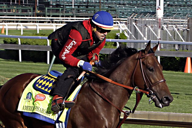Kentucky Derby hopeful American Pharoah gallops under exercise rider Jorge Alvarez at Churchill Downs in Louisville, Ky., Thursday, April 23, 2015.  (AP Photo/Garry Jones)