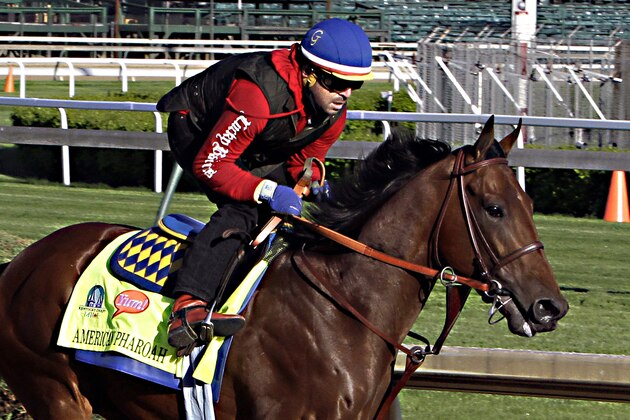 Kentucky Derby hopeful American Pharoah gallops under exercise rider Jorge Alvarez at Churchill Downs in Louisville, Ky., Thursday, April 23, 2015.  (AP Photo/Garry Jones)