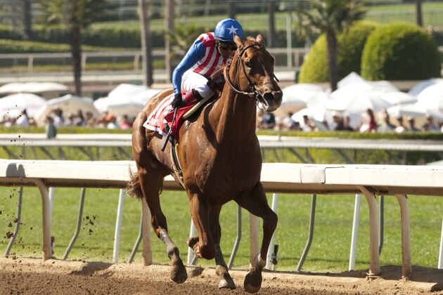 In this photo provided by Benoit Photo, Kaleem Shah's Dortmund and jockey Martin Garcia win the Grade I $1,000,000 Santa Anita Derby horse race, Saturday, April 4, 2015, at Santa Anita Park, in Arcadia, Calif. (AP Photo/Benoit Photo)