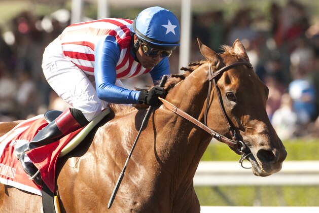 In this photo provided by Benoit Photo, Kaleem Shah's Dortmund and jockey Martin Garcia win the Grade I $1,000,000 Santa Anita Derby horse race, Saturday, April 4, 2015, at Santa Anita Park, in Arcadia, Calif. (AP Photo/Benoit Photo)