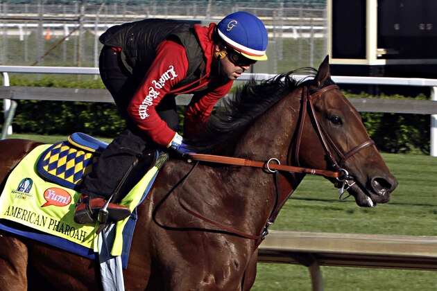 Exercise rider Jorge Alvarez gallops Kentucky Derby hopeful American Pharoah at Churchill Downs in Louisville, Ky., Thursday, April 23, 2015.  (AP Photo/Garry Jones)