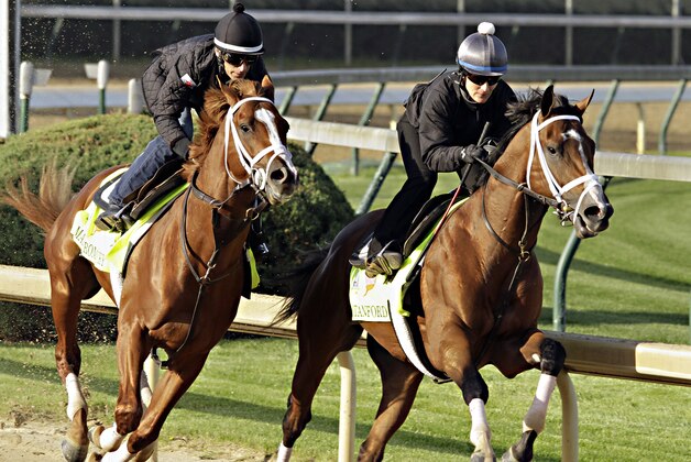 Jockey John Velazquez, left, rides Madefromlucky in a morning workout with stablemate and Kentucy Derby hopeful Standford, right, ridden by exercise rider Isabelle Bourez, at Churchill Downs in Louisville, Ky., Friday, April 24, 2015. Madefromlucky bowed out Friday when his owners said they decided not to run in the Derby. (AP Photo/Garry Jones)