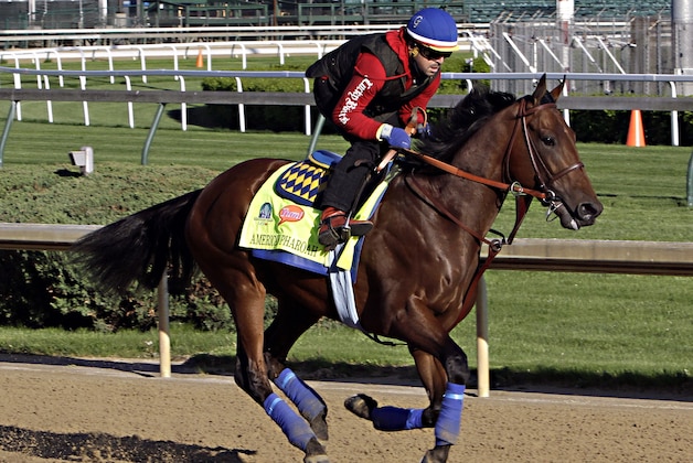 Kentucky Derby hopeful American Pharoah gallops under exercise rider Jorge Alvarez at Churchill Downs in Louisville, Ky., Thursday, April 23, 2015.  (AP Photo/Garry Jones)