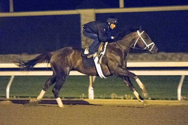 Kentucky Derby contender Carpe Diem works out with jockey John Velazquez covering four furlongs in :48 3/5 at Keeneland in Lexington, Ky., Saturday, April 25, 2015. Saturday figured to be a busy day for Kentucky Derby entrants trying to get their final workouts in, and several got theirs in before showers arrived at Churchill Downs. Others such as Carpe Diem and Dortmund worked elsewhere. (AP Photo/David Stephenson)