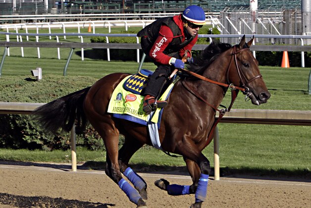 Kentucky Derby hopeful American Pharoah gallops under exercise rider Jorge Alvarez at Churchill Downs in Louisville, Ky., Thursday, April 23, 2015.  (AP Photo/Garry Jones)