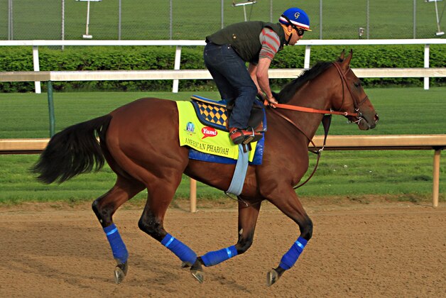 Exercise rider George Alverez gallops Kentucky Derby hopeful American Pharaoh over the track at Churchill Downs in Louisville, Ky., Saturday, April 18, 2015.  (AP Photo/Garry Jones)