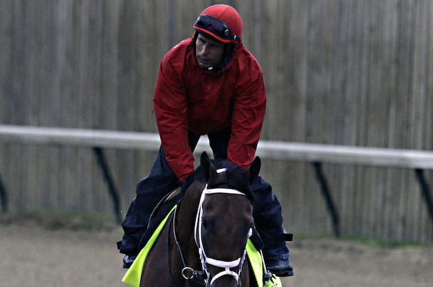 Exercise rider Ezequiel Perez walks Kentucky Derby hopeful Itsaknockout the wrong way around the race track at Churchill Downs in Louisville, Ky., Saturday morning, April 25, 2015.  (AP Photo/Garry Jones)