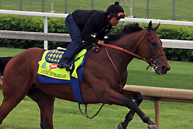 Martin Garcia rides Kentucky Derby hopeful American Pharoah during a morning workout at Churchill Downs in Louisville, Ky., Sunday, April 26, 2015. (AP Photo/Garry Jones)