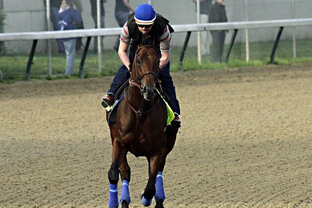 Exercise rider Jorge Alvarez gallops Kentucky Derby hopeful American Pharoah at Churchill Downs in Louisville, Ky., Saturday, April 18, 2015.  (AP Photo/Garry Jones)