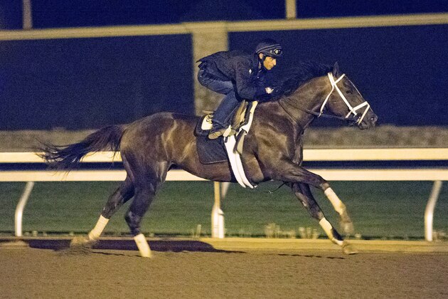 Kentucky Derby contender Carpe Diem works out with jockey John Velazquez covering four furlongs in :48 3/5 at Keeneland in Lexington, Ky., Saturday, April 25, 2015. Saturday figured to be a busy day for Kentucky Derby entrants trying to get their final workouts in, and several got theirs in before showers arrived at Churchill Downs. Others such as Carpe Diem and Dortmund worked elsewhere. (AP Photo/David Stephenson)