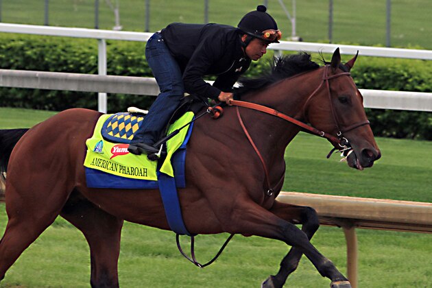Martin Garcia rides Kentucky Derby hopeful American Pharoah during a morning workout at Churchill Downs in Louisville, Ky., Sunday, April 26, 2015. (AP Photo/Garry Jones)