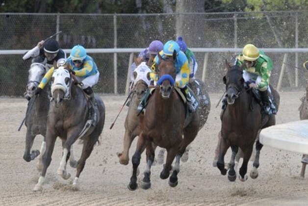 American Pharoah and jockey Victor Espinoza, lead Bridget’s Big Luvy and jockey Angel Cruz, right, Mr. Z and jockey Ramon Vazquez (2) and the rest of the field around the final turn in $1 million Arkansas Derby horse race at Oaklawn Park in Hot Springs, Ark., Saturday, April 11, 2015. (AP Photo/David Quinn)