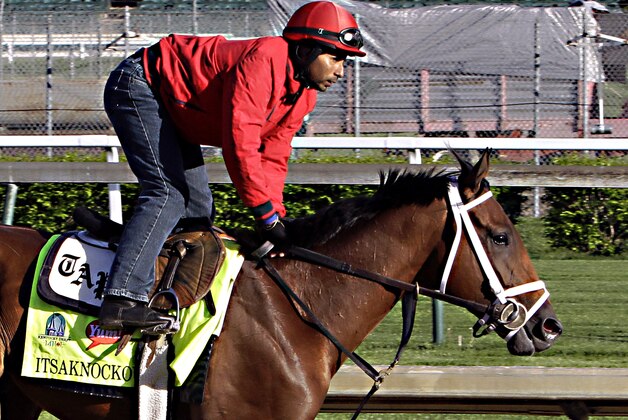 Exercise rider Carlos Cano gallops Kentucky Derby hopeful Itsaknockout at Churchill Downs in Louisville, Ky., Thursday morning, April 23, 2015.  (AP Photo/Garry Jones)