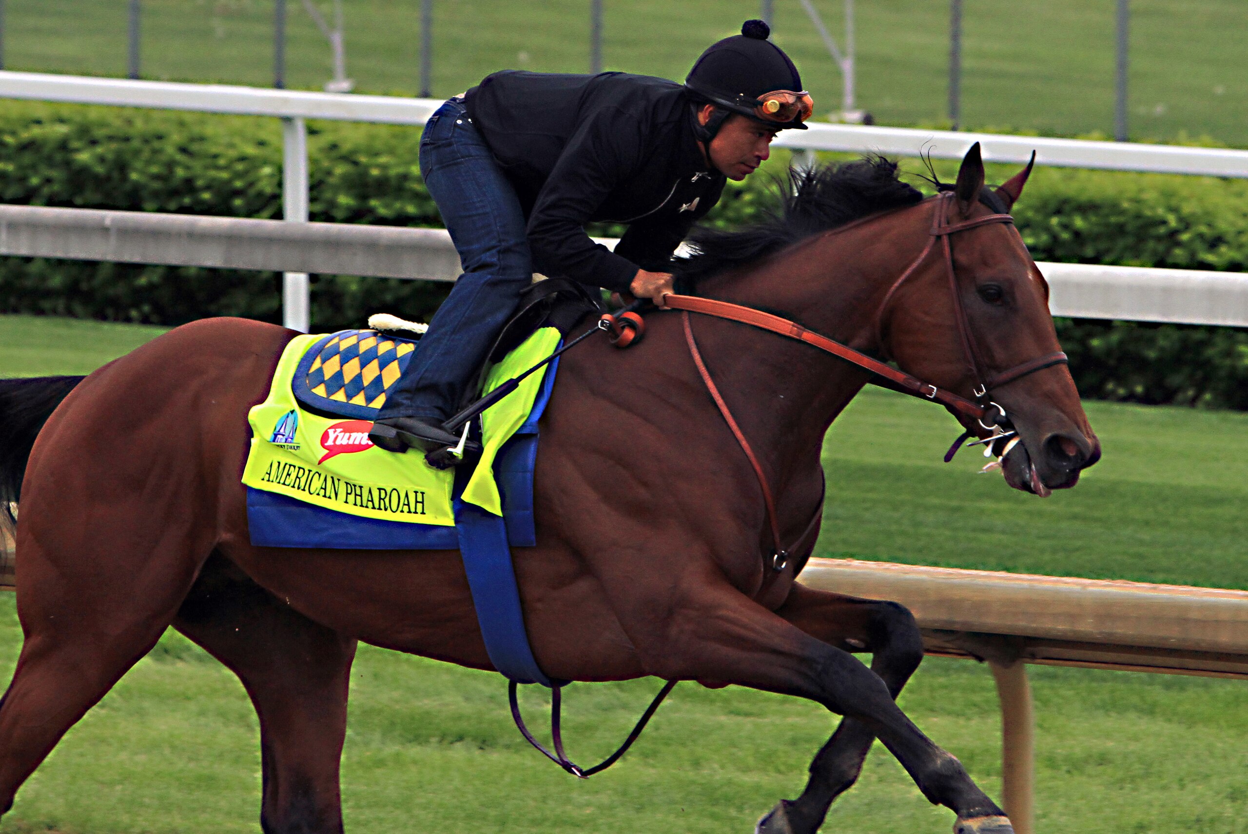 Martin Garcia rides Kentucky Derby hopeful American Pharoah during a morning workout at Churchill Downs in Louisville, Ky., Sunday, April 26, 2015. (AP Photo/Garry Jones)