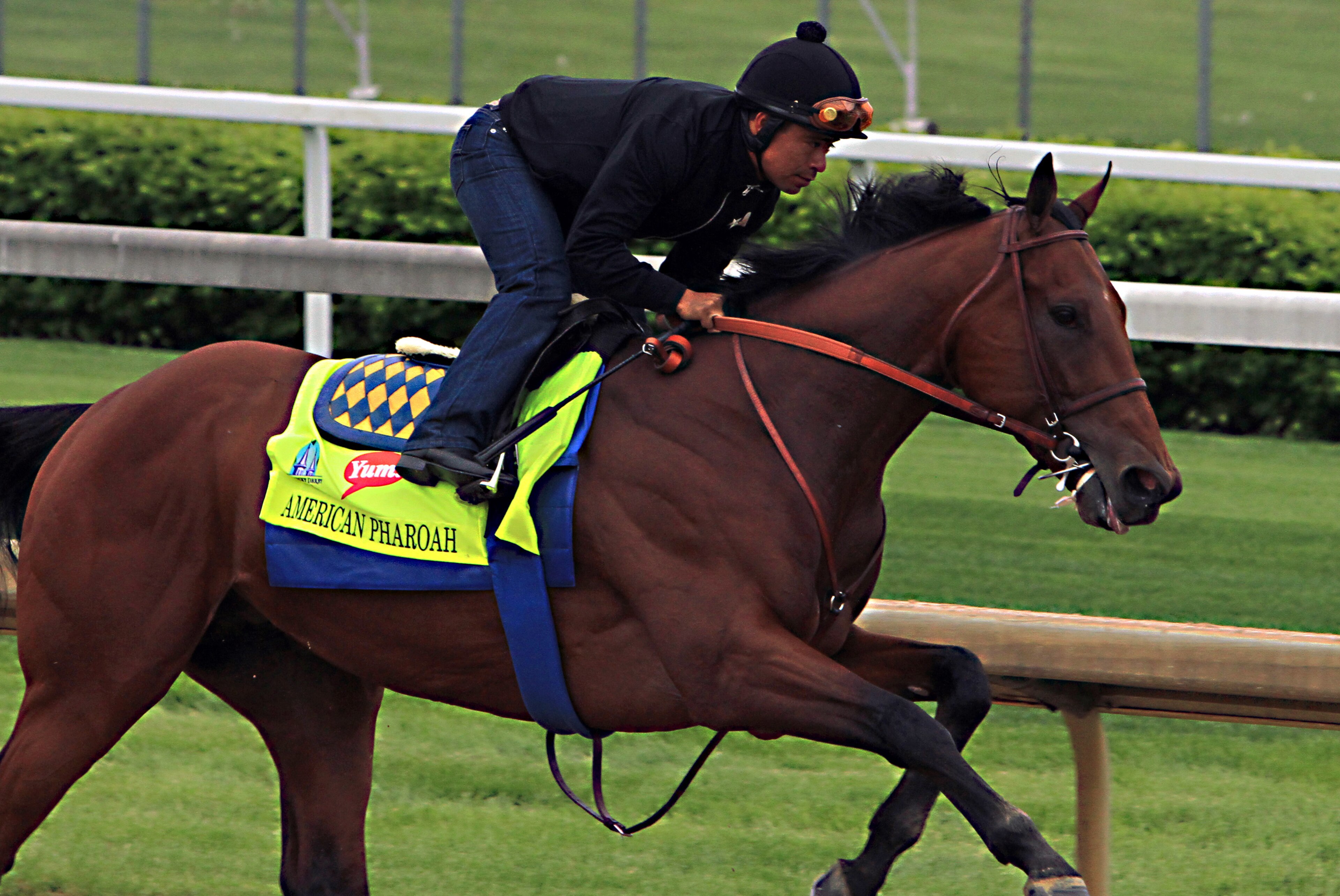 Martin Garcia rides Kentucky Derby hopeful American Pharoah during a morning workout at Churchill Downs in Louisville, Ky., Sunday, April 26, 2015. (AP Photo/Garry Jones)