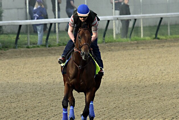 Exercise rider Jorge Alvarez gallops Kentucky Derby hopeful American Pharoah at Churchill Downs in Louisville, Ky., Saturday, April 18, 2015.  (AP Photo/Garry Jones)