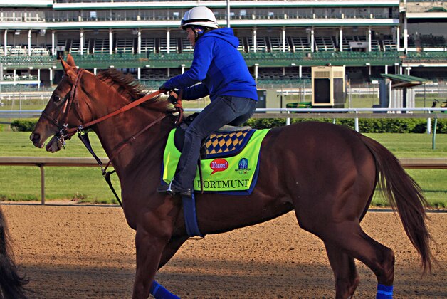 Kentucky Derby hopeful Dortmund trots the wrong way around the race track under exercise rider Dana Barnes in the colt's first appearance at Churchill Downs in Louisville, Ky., Monday, April 27, 2015 after arriving from California.  (AP Photo/Garry Jones)