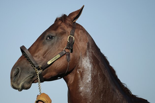 Kentucky Derby hopeful Dortmund is held for a bath after a morning workout at Churchill Downs Tuesday, April 28, 2015, in Louisville, Ky. (AP Photo/Charlie Riedel)